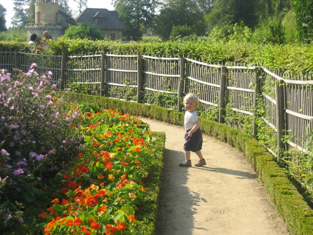 Zum Bild in Originalgr��e hier klicken...