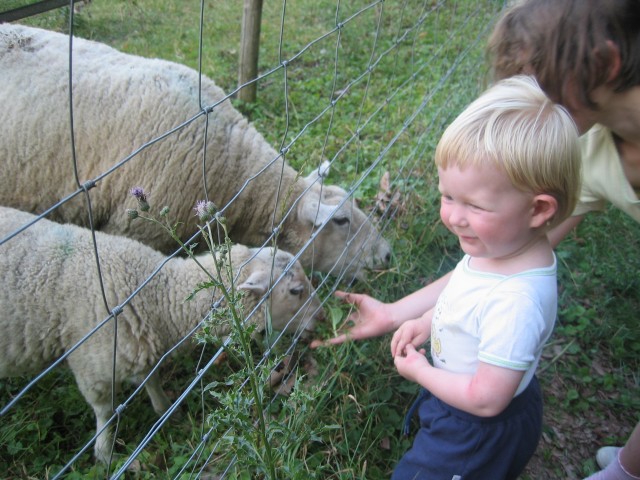 Zum Bild in Originalgr��e hier klicken...