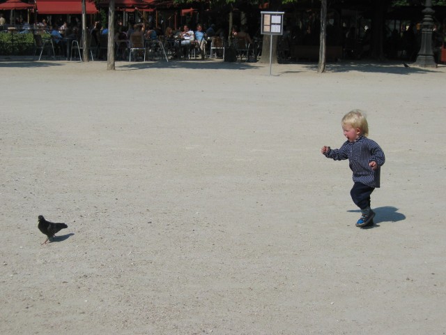 Zum Bild in Originalgr��e hier klicken...