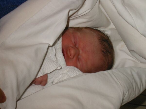 Zum Bild in Originalgr��e hier klicken...