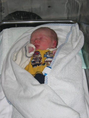 Zum Bild in Originalgr��e hier klicken...