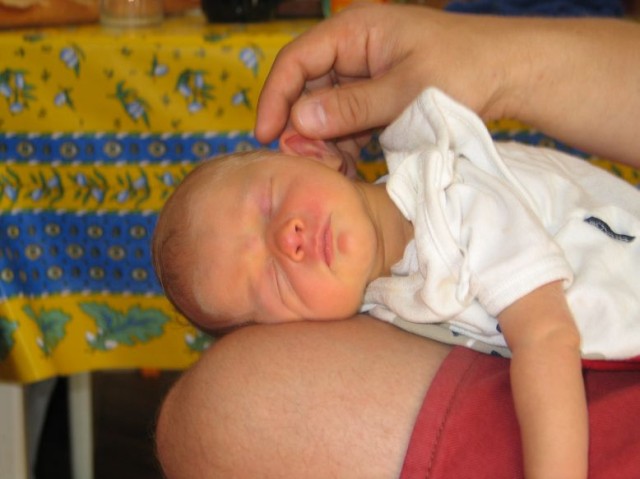 Zum Bild in Originalgr��e hier klicken...